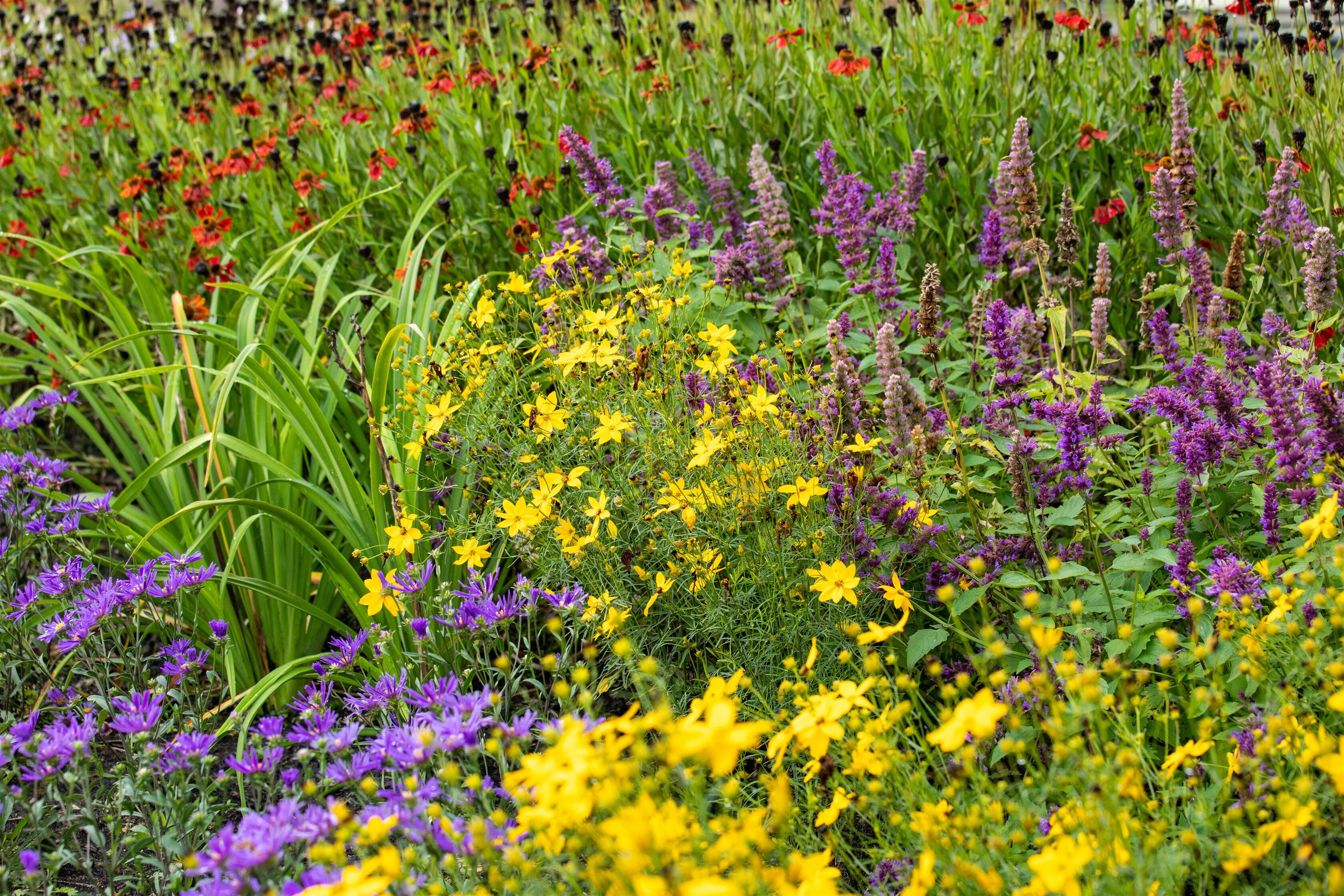 Die Gartensaison startet jetzt: Zeit, Ihren Garten zum Leben zu erwecken!