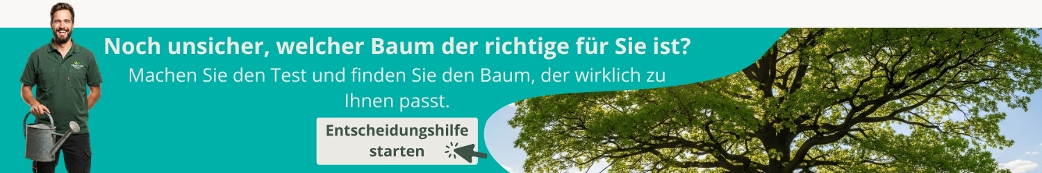 Keuzehulp
